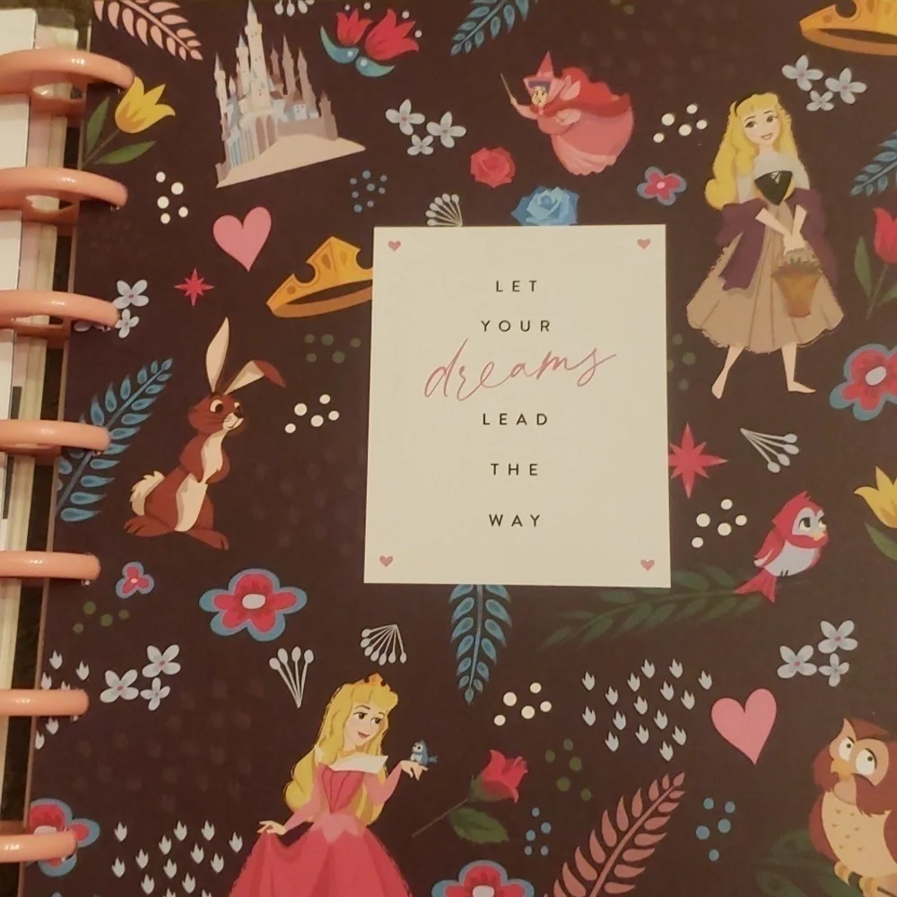 Disney Princess undated planner. New